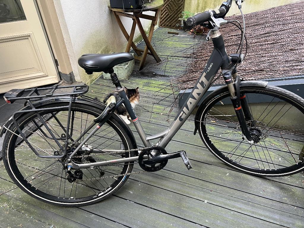 Giant Futuro dames fiets, Ophalen, Gebruikt, Versnellingen, Schijfrem