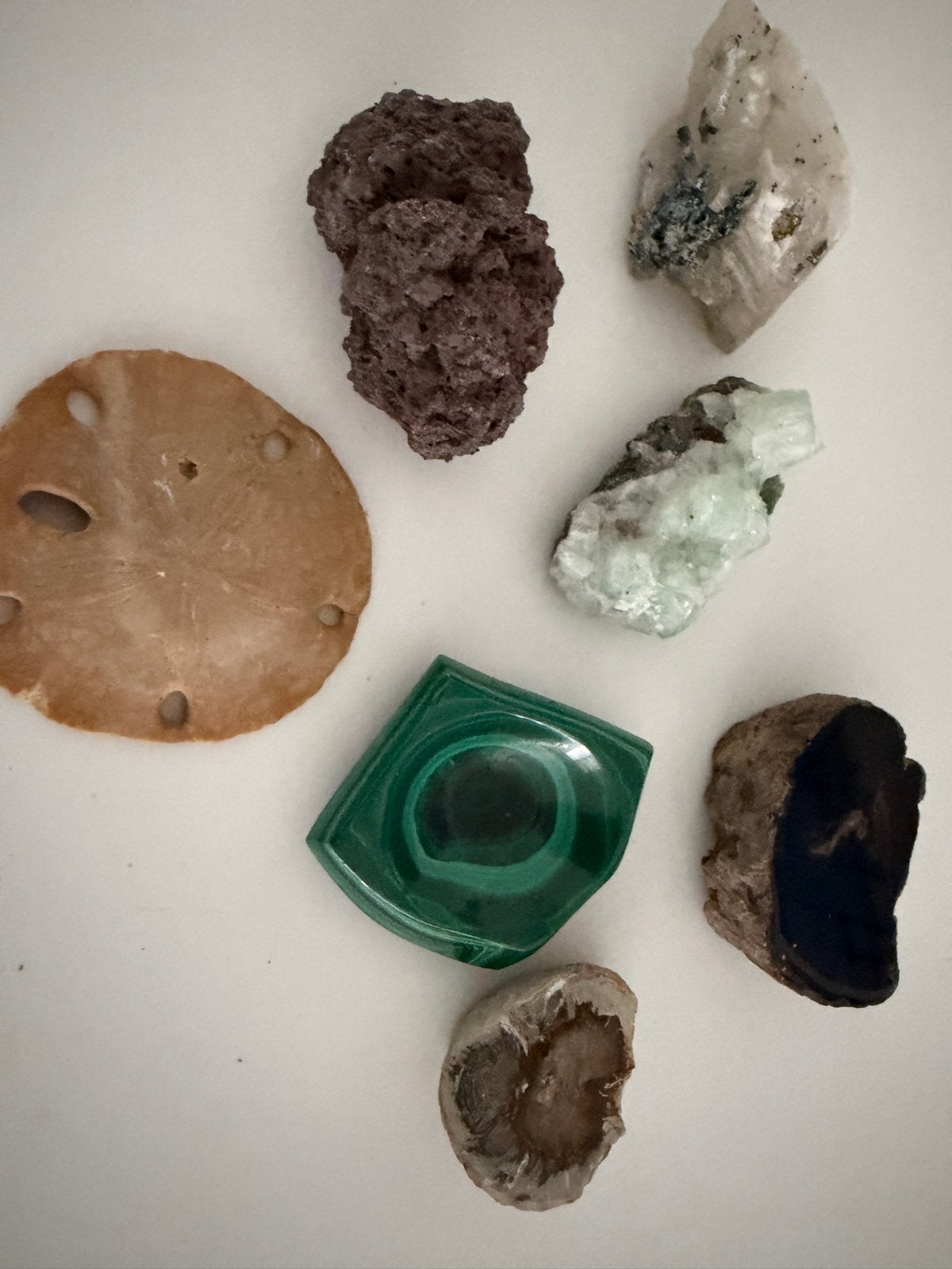 7 stuks mineralen en fossielen, Verzamelen, Mineralen en Fossielen, Ophalen of Verzenden, Overige typen