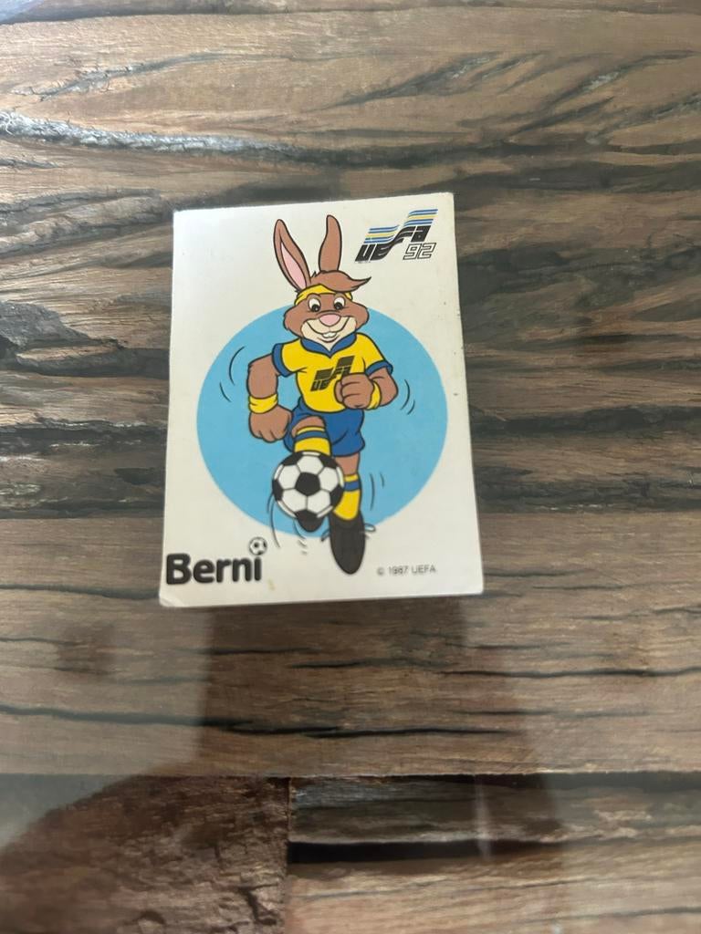 Berni Euro '92 Panini Sticker - Zeldzaam Voetbal Item, Ophalen of Verzenden, Gebruikt, Sport