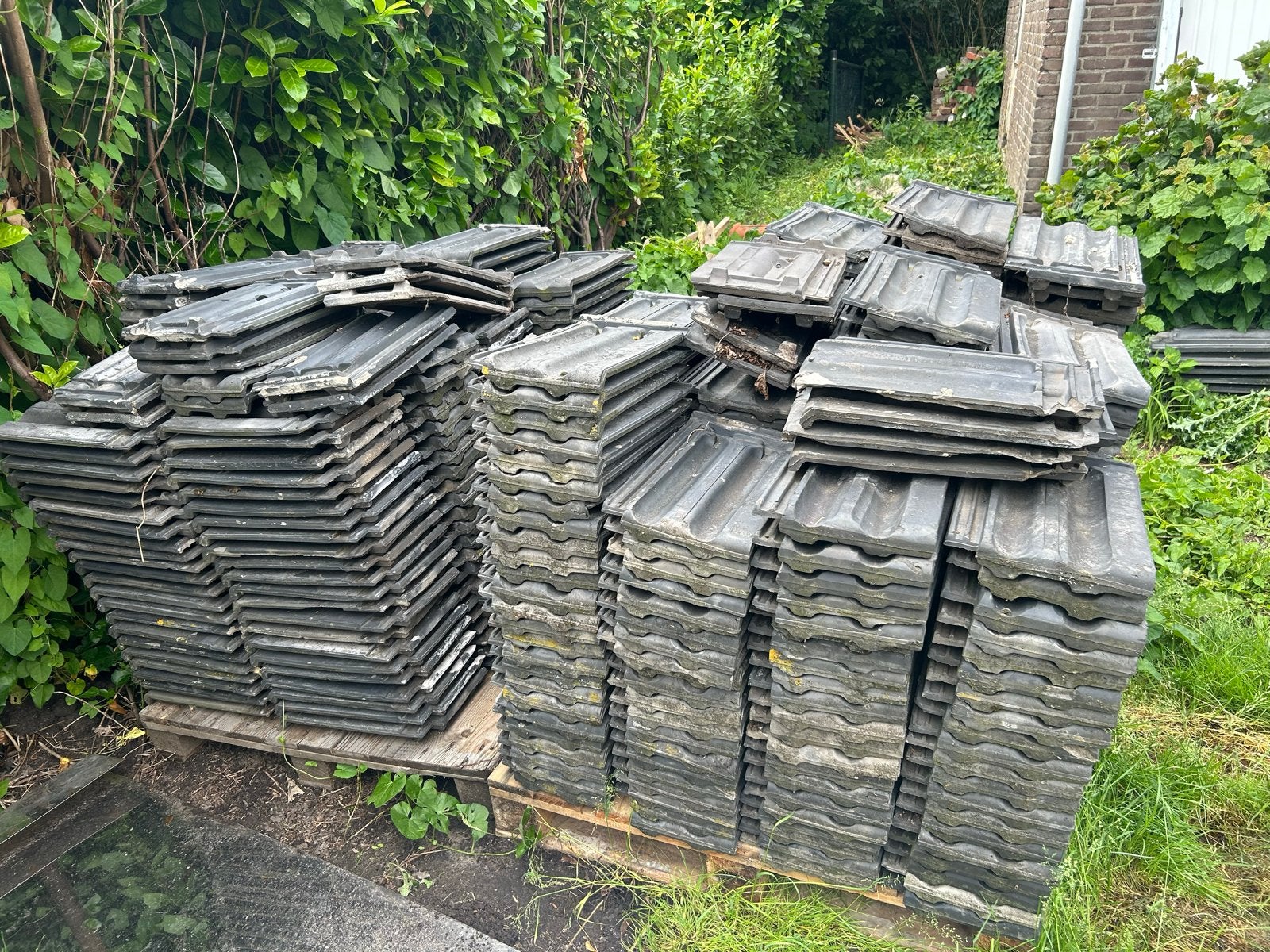 Friese dakpannen en nokvorsten - ca. 540 stuks, Ophalen, Gebruikt, Steen of Klei, 15 m² of meer
