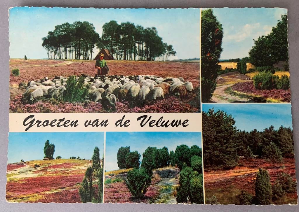 Groeten uit Lunteren, Veluwe, Ophalen of Verzenden, 1940 tot 1960, Gelopen, Gelderland