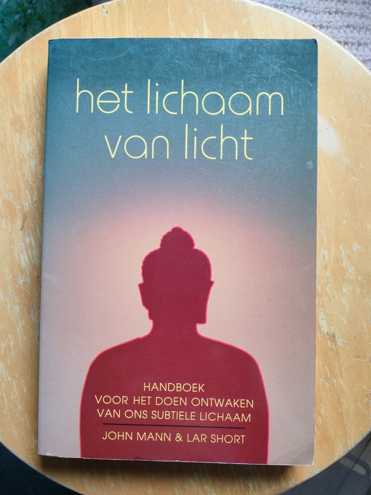 Het lichaam van licht, Boeken, Achtergrond en Informatie, Ophalen of Verzenden, Zo goed als nieuw, John Mann & Lar Short