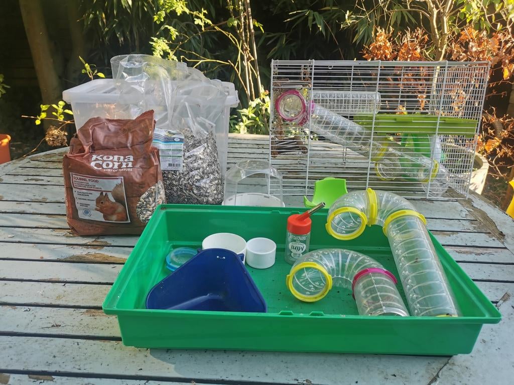 Hamsterkooi met alle toebehoren, Dieren en Toebehoren, Knaagdieren, Juli, Mannelijk, Hamster