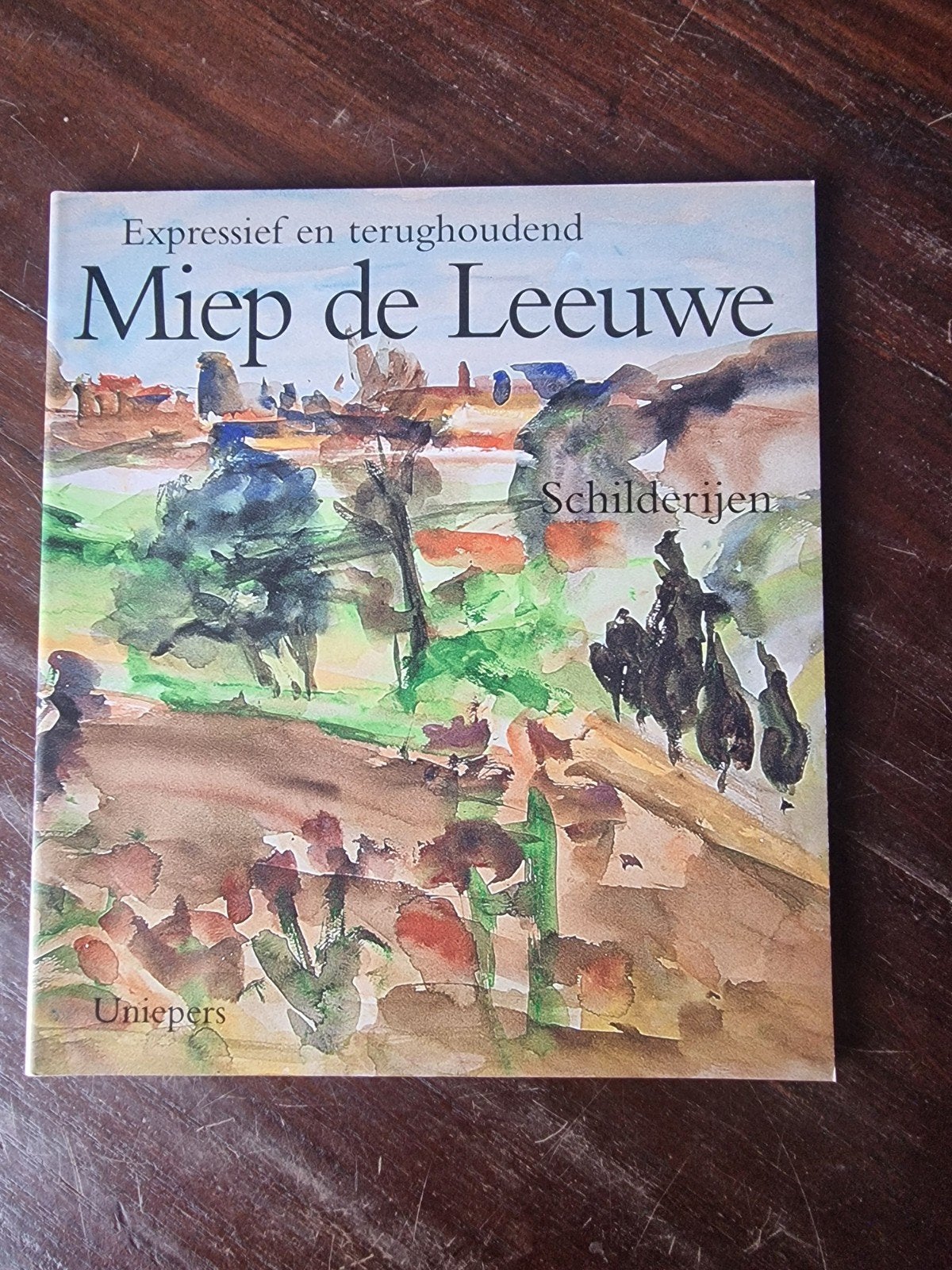 Miep de Leeuwe Schilderijen - Expressief en terughoudend, Boeken, Ophalen of Verzenden