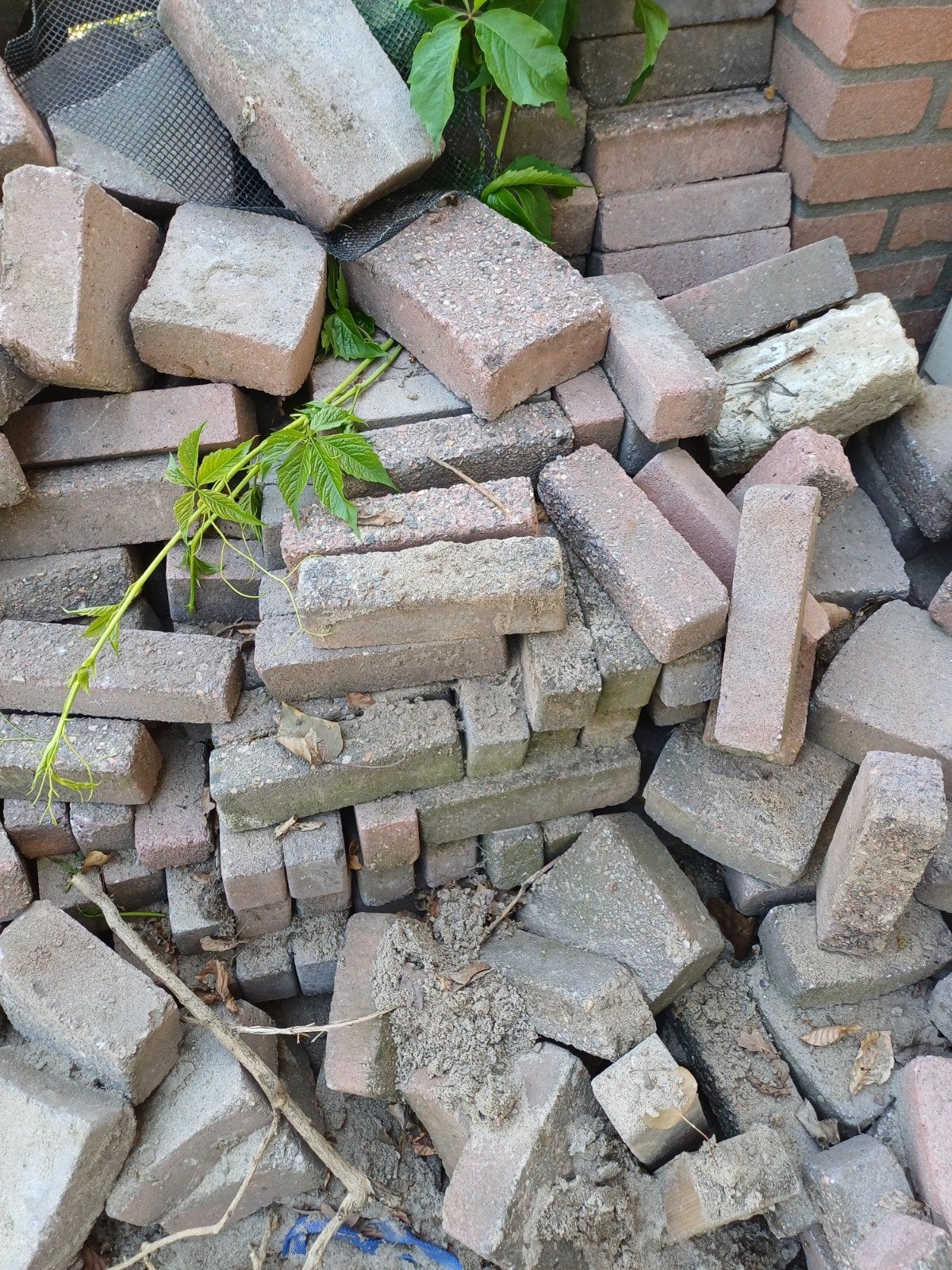 Waaltjes 10-20m2 gratis af te halen, Tuin en Terras, Ophalen of Verzenden