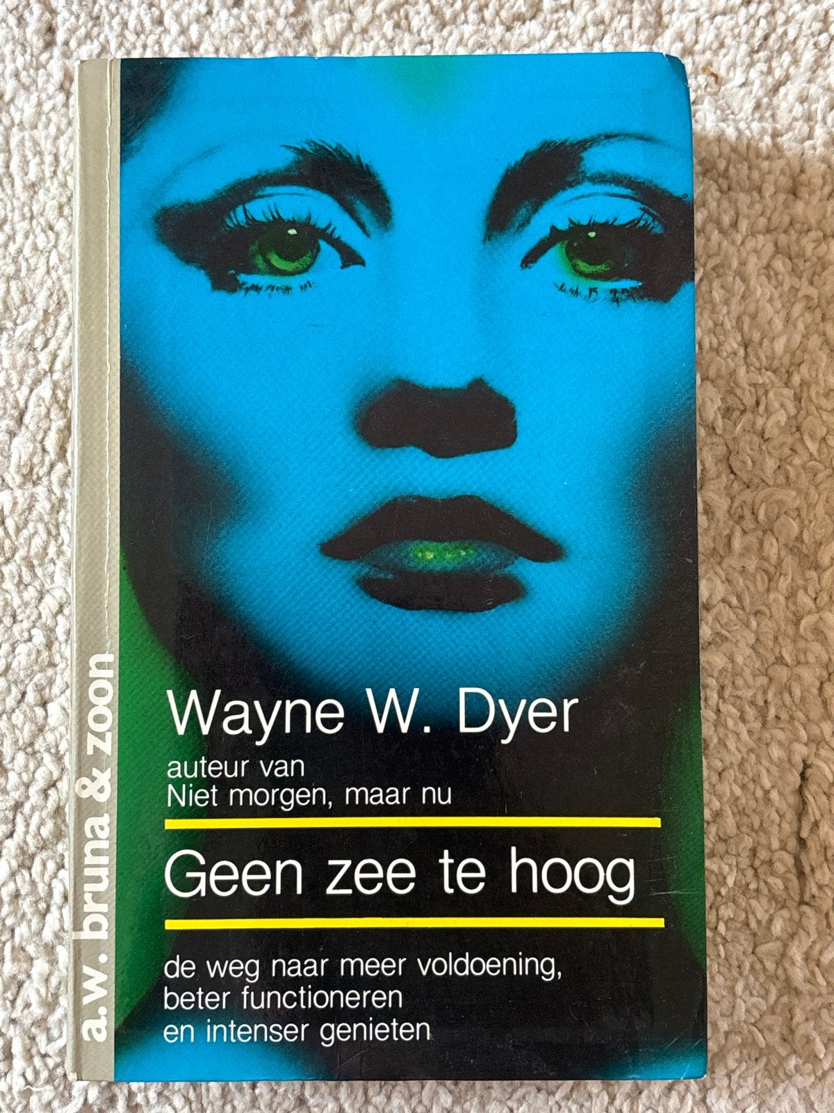 Geen zee te hoog - Wayne W. Dyer (The Sky's the Limit), Boeken, Ophalen, Gelezen