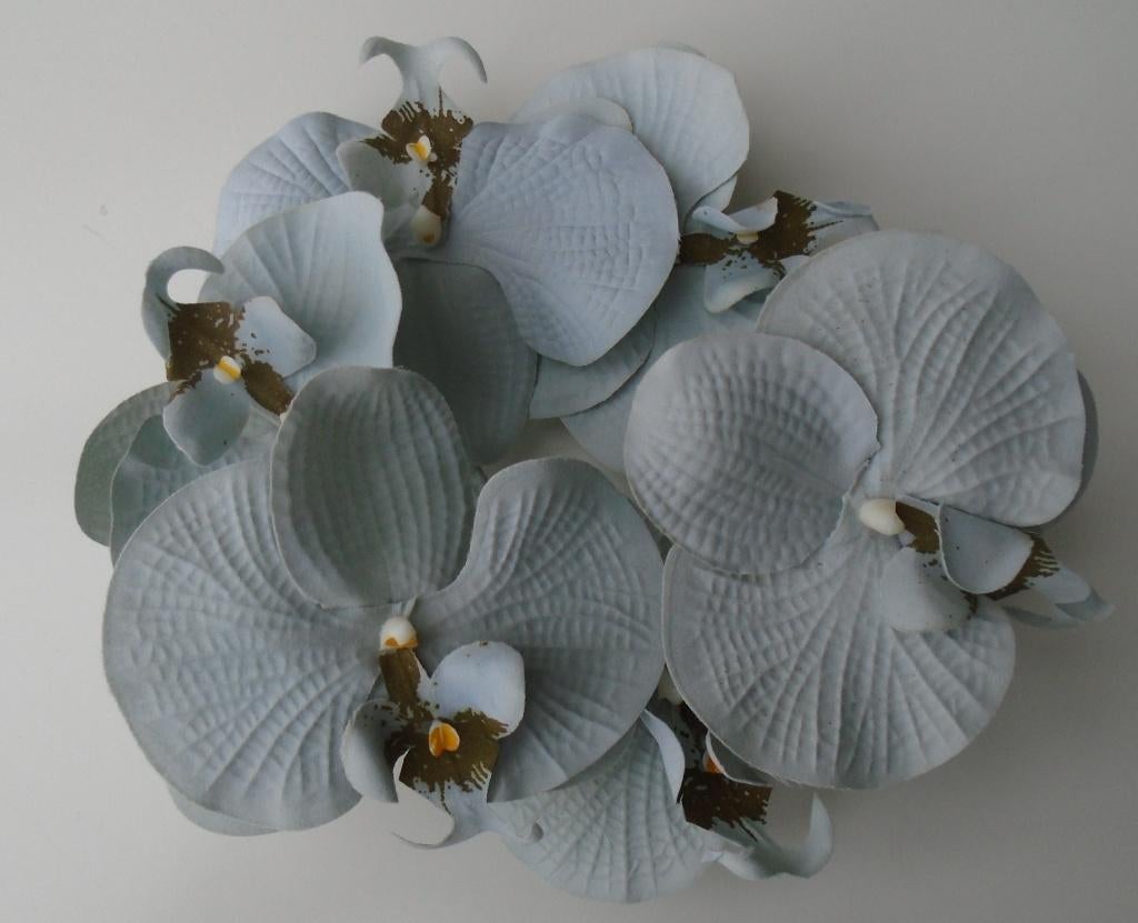 BLOEM ORCHIDEE GRIJS 20 CM NIEUW, -, -, Nieuw, Ophalen of Verzenden