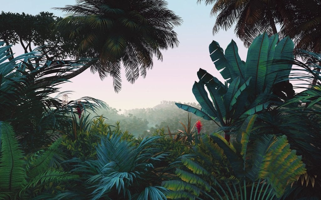 Botanisch behang Jungle Morning, tropisch bos, Muurdeco4kids, Huis en Inrichting, Verzenden, Oranje