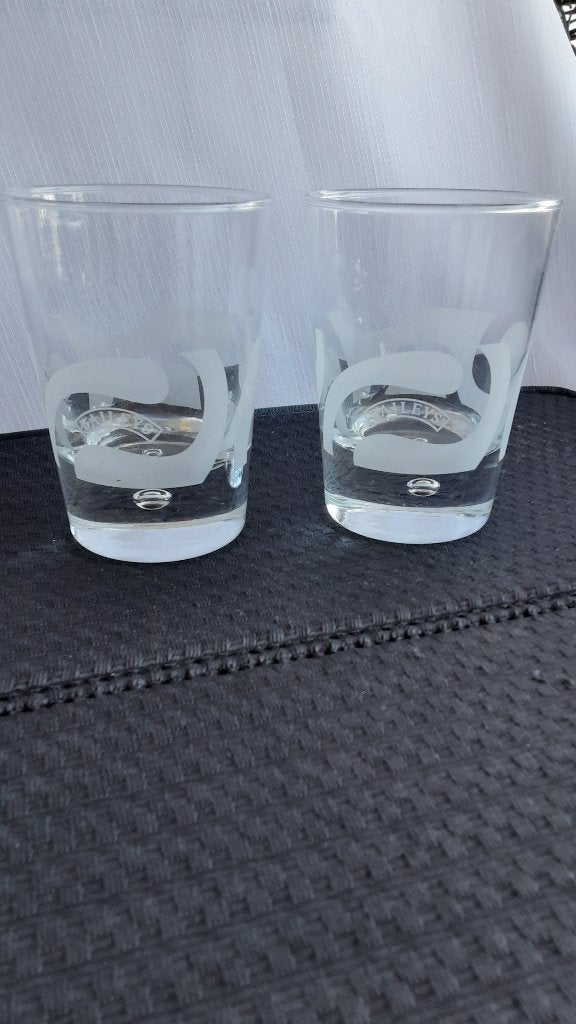 BAILEYS glazen 11 cm hoog, 2 stuks (swirl), Verzamelen, Ophalen of Verzenden, Zo goed als nieuw, Borrel- of Shotglas