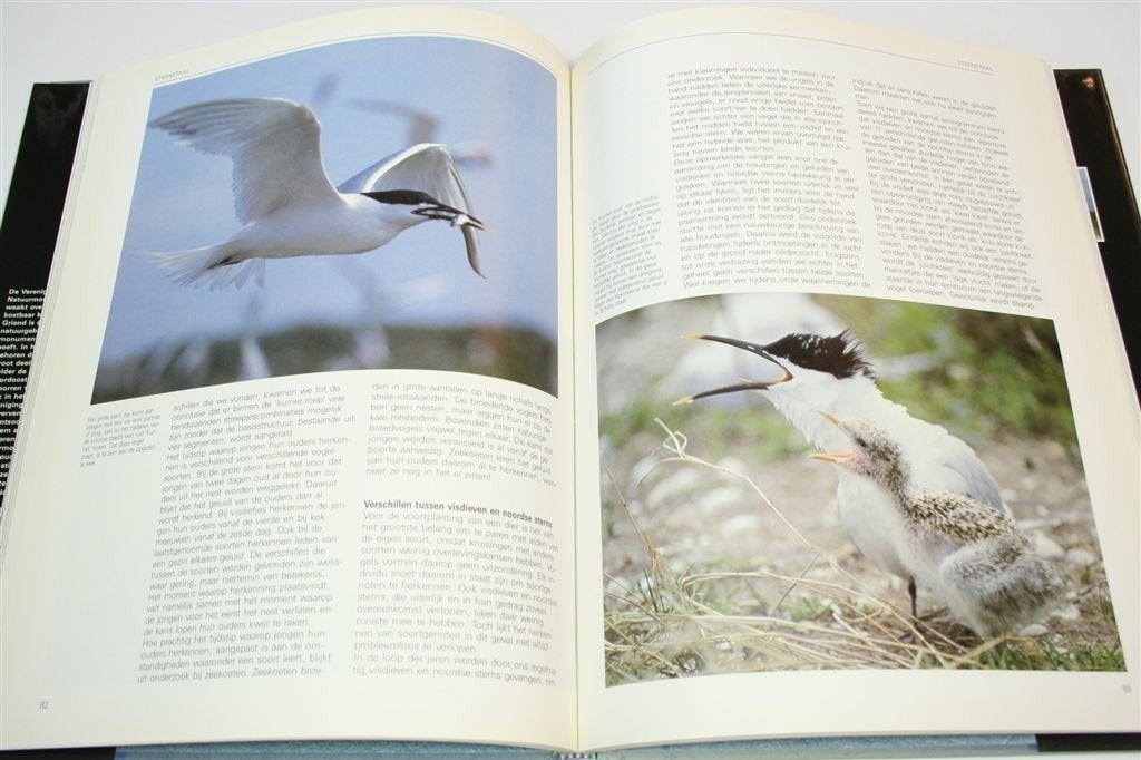 Griend Waddenzee — Vogeleiland Natuurboek Groot Formaat, Ophalen of Verzenden, Gelezen, Vogels