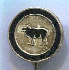 Zwarte Schapen zilverkleurig voetbal club speldje ( Z_060 ), Verzamelen, Speldjes, Pins en Buttons, Verzenden, Zo goed als nieuw
