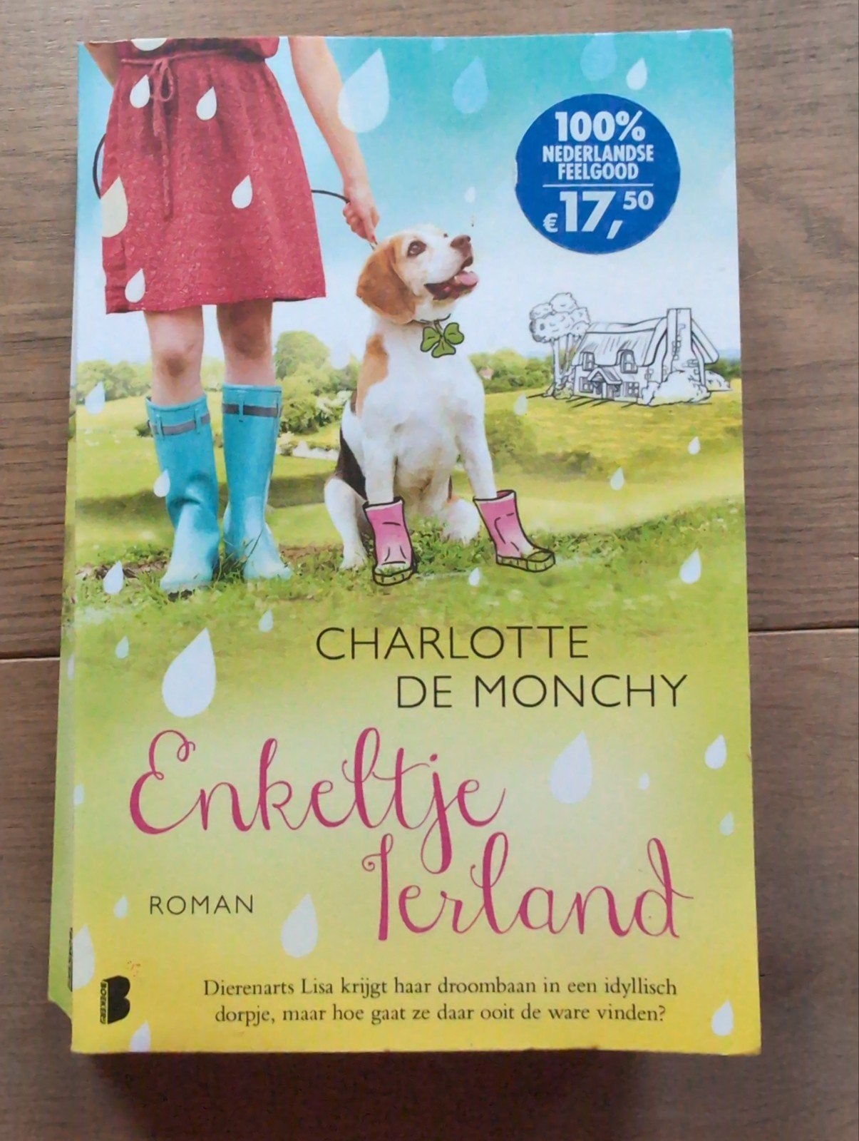 Enkeltje Ierland - Charlotte de Monchy (Roman), Boeken, Ophalen of Verzenden, Zo goed als nieuw, Charlotte de Monchy, Nederland