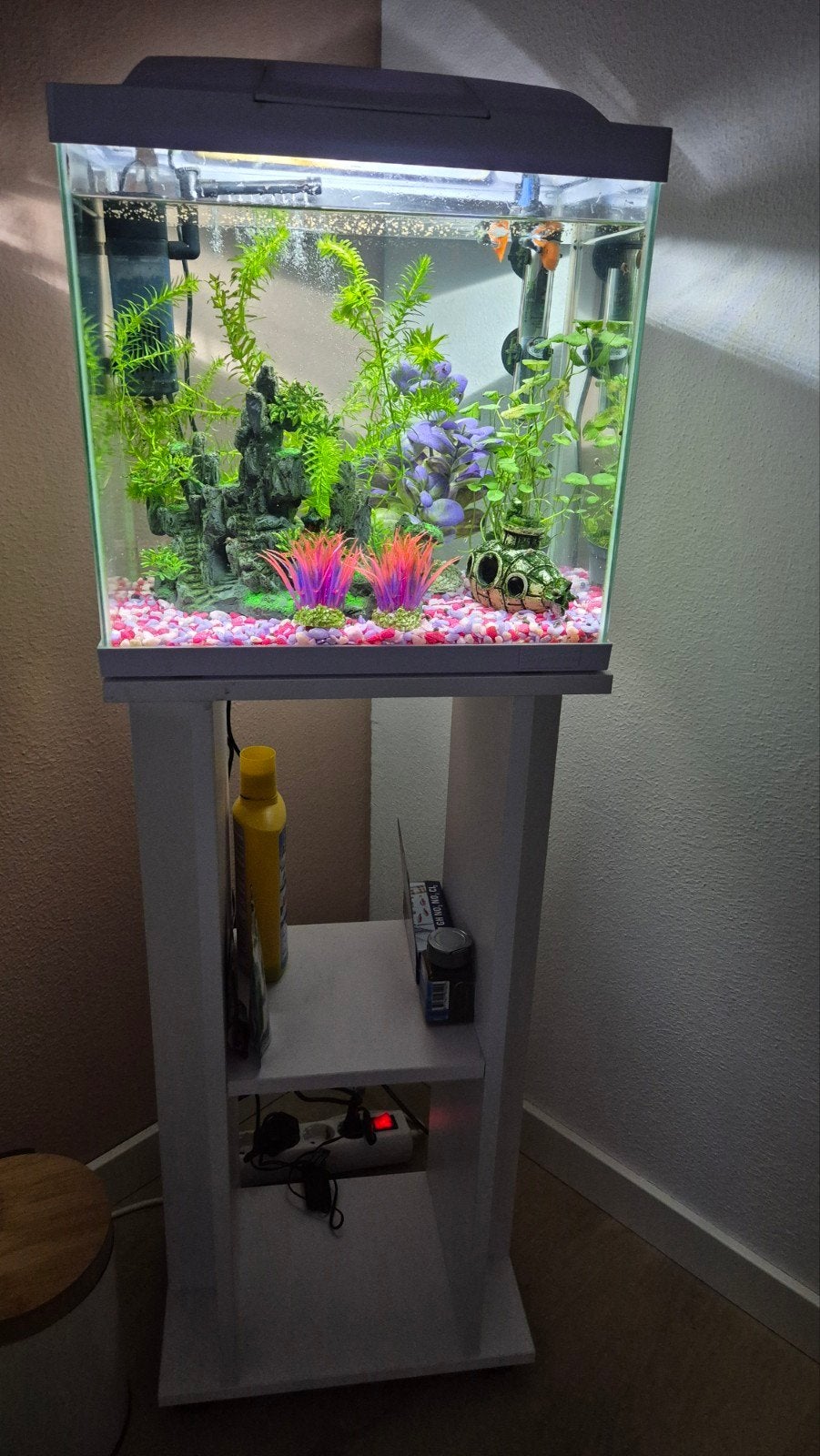 Aquarium met filter wit en guppies waterslangen en meerval, Ophalen