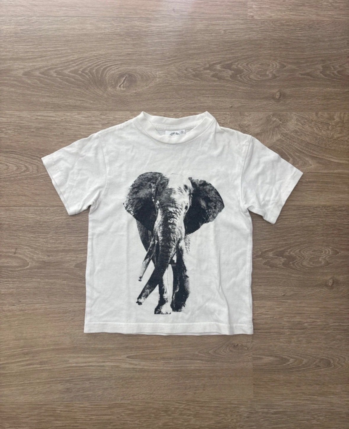 Creative Nature Olifant T-shirt - Zuid Afrika maat 104/110, Ophalen of Verzenden, Zo goed als nieuw, Jongen of Meisje, Shirt of Longsleeve