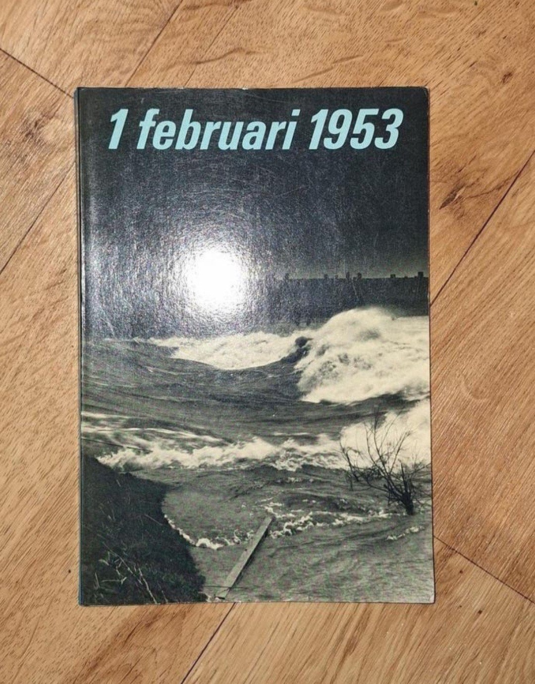 1 februari 1953 - Watersnoodramp Boek, Ophalen of Verzenden, 20e eeuw of later, Gelezen, Onbekend