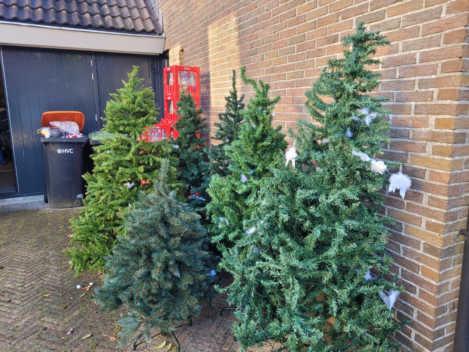 Gratis kerstbomen, Diversen, Kerst, Ophalen