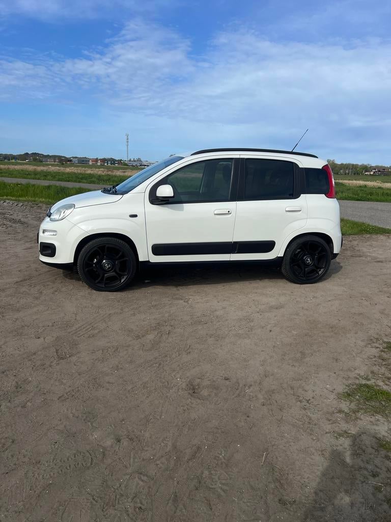 Fiat Panda Twinair 85 pk 2013 Wit 136210 km met Abarth 595, Auto's, Fiat, Voorwielaandrijving, 40 €/maand, Panda, Wit