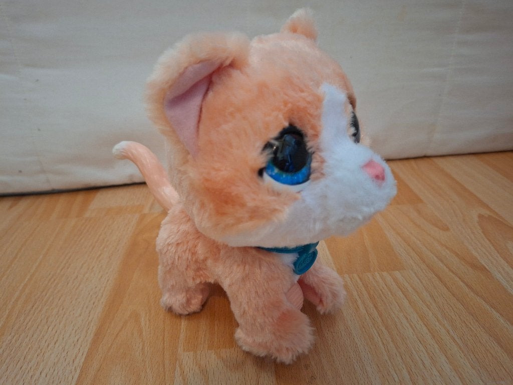Poes met geluid, Kinderen en Baby's, Ophalen, Gebruikt, Kat, Met geluid