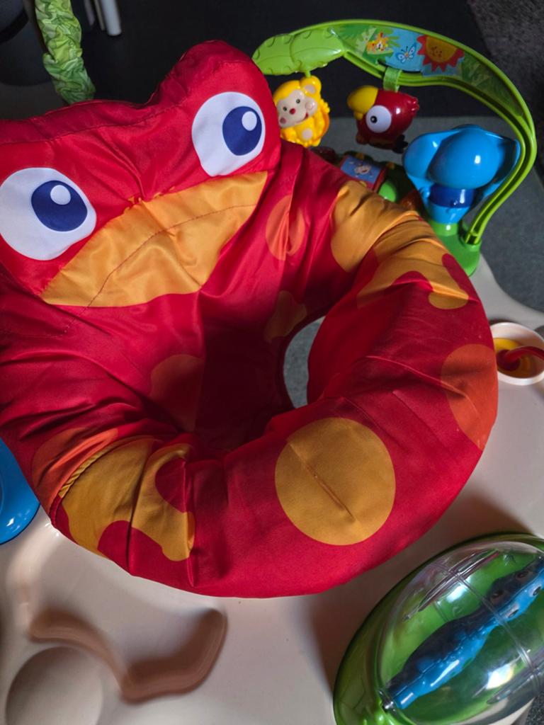 Baby Einstein Jumperoo: Muzikaal Speelplezier voor Baby's, Kinderen en Baby's, Ophalen, Zo goed als nieuw
