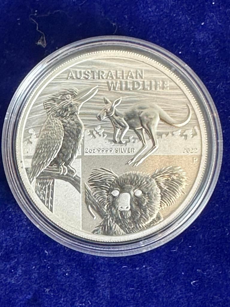 2 oz Australien wildlife 2022   Ook tube 10 st, Postzegels en Munten, Edelmetalen en Baren, Ophalen of Verzenden, Zilver