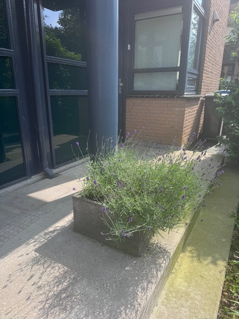 Pots garden, Tuin en Terras, Bloempotten, Ophalen, Overige materialen, Gebruikt, Vierkant