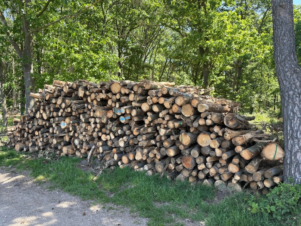 Stamhout beschikbaar in div. houtsoorten - levering of EXW, 6 m³ of meer, Ophalen of Verzenden, Eikenhout, Stammen