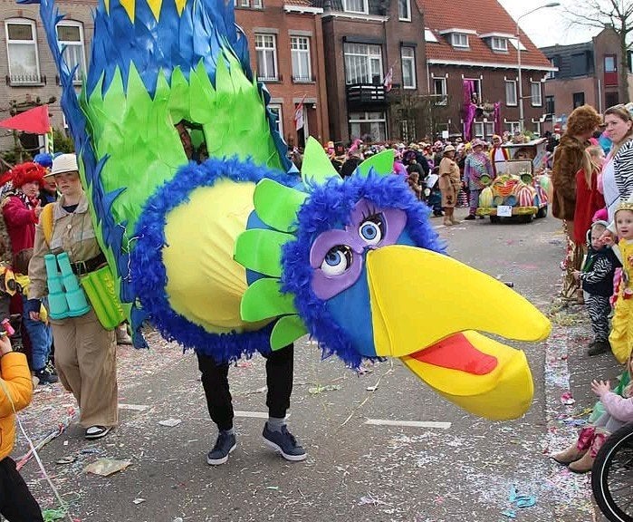 mooie vogel en rangerpakken, Ophalen, Gedragen, Carnaval, Kleding