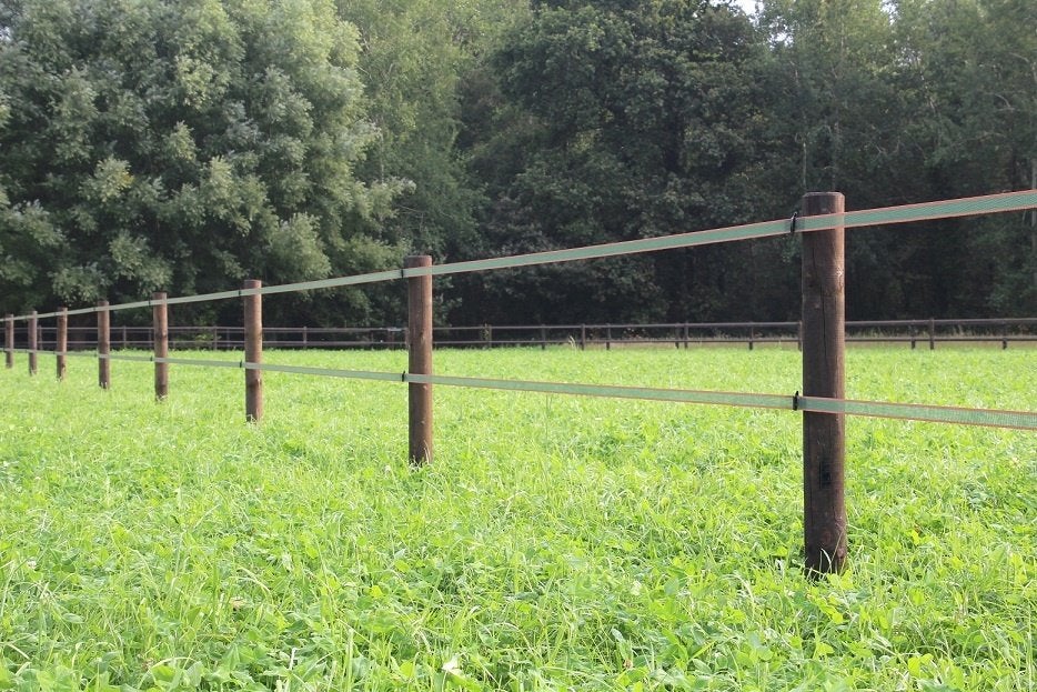 9. Schriklint | lint omheining | paarden afrastering, Weidegang, 4 paarden of pony's of meer
