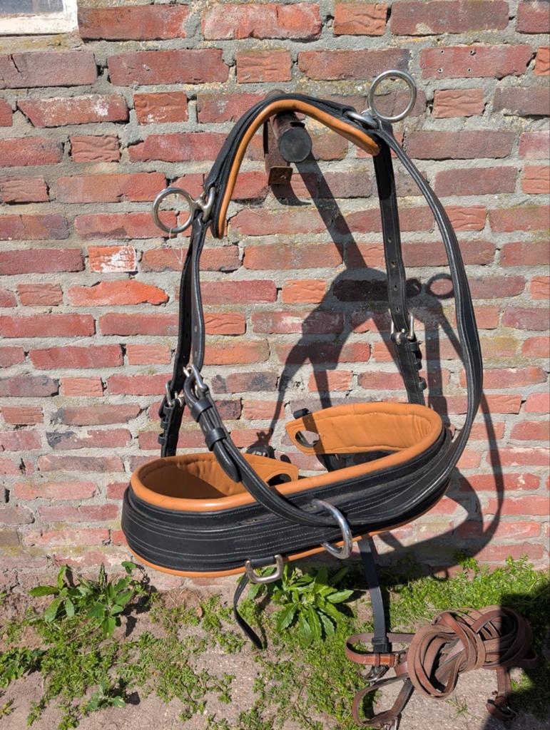 Ideal Equestrian men borsttuig, Dieren en Toebehoren, Ophalen of Verzenden, Overige soorten
