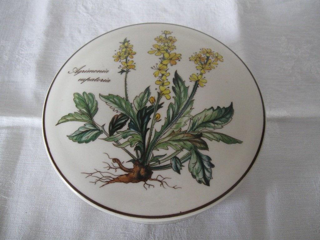 VILLEROY & BOCH deksel doosje Botanica goede staat, Ophalen of Verzenden