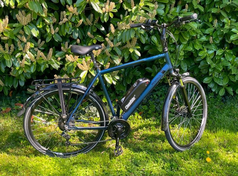 Pegasus custom build elektrische fiets, Fietsen en Brommers, Elektrische fietsen, Overige merken, Verzenden, Zo goed als nieuw