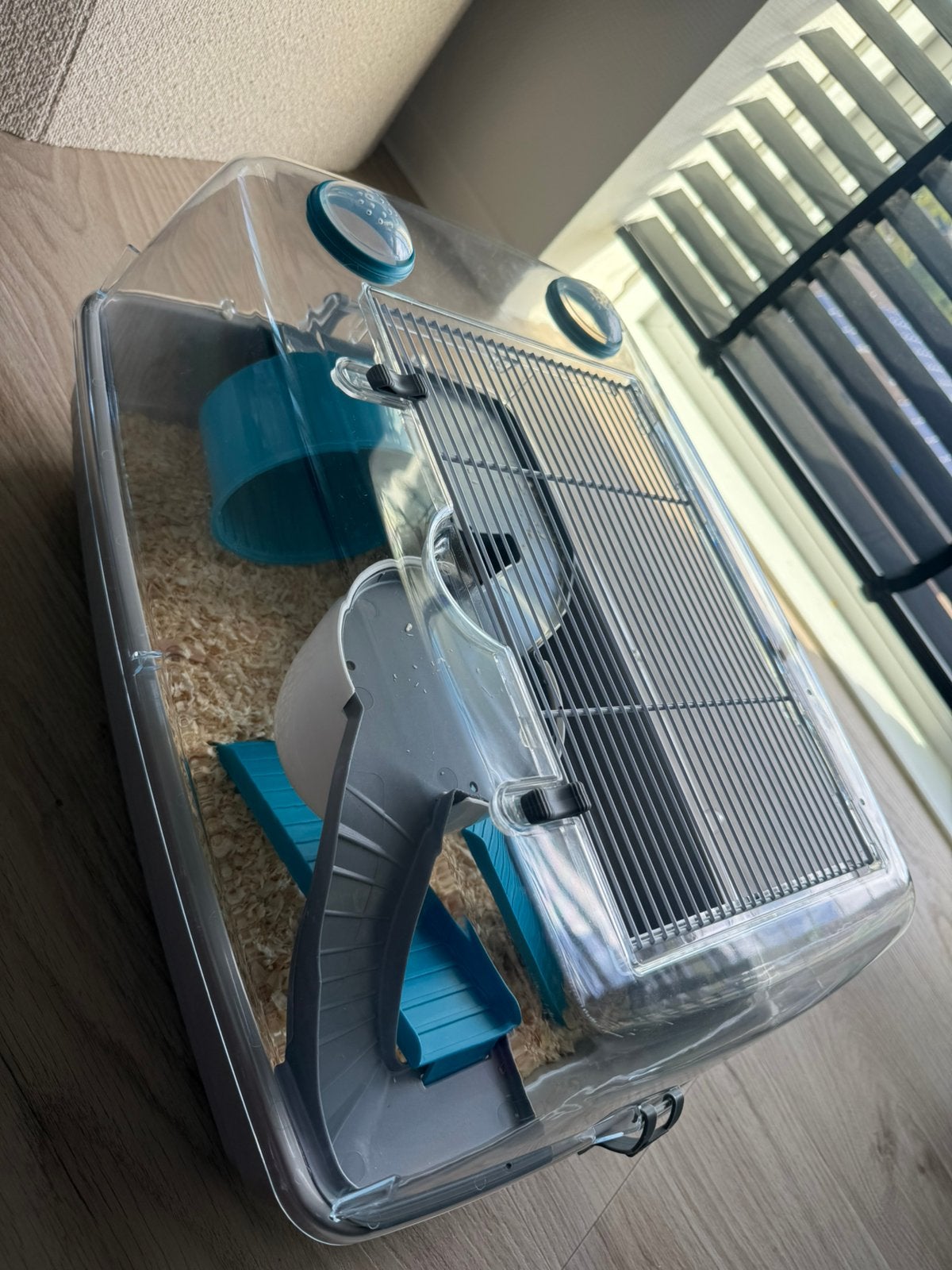 Kooi en toebehoren hamster, Dieren en Toebehoren, Juni, Mannelijk, Hamster