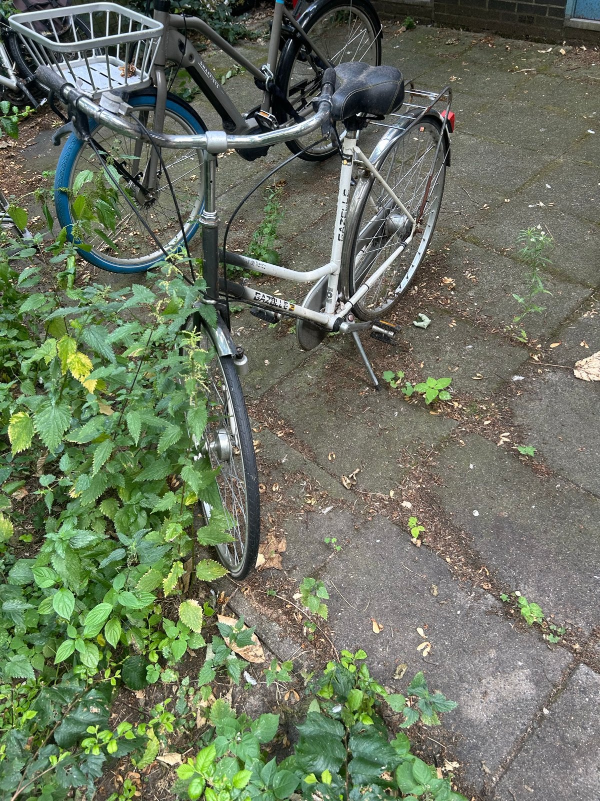 Gazelle damesfiets - Klassiek model, Ophalen, Velgrem, Gazelle, 53 tot 56 cm
