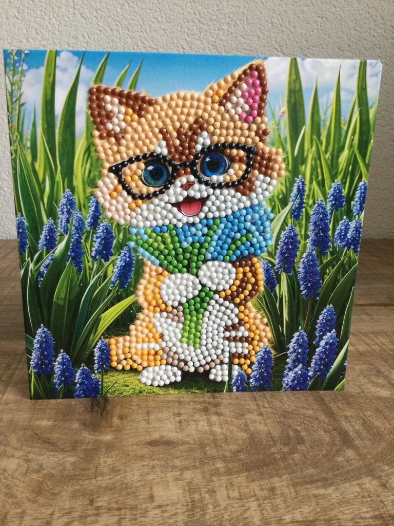 Diamond painting wenskaart poes met bril en hyacinten, Hobby en Vrije tijd, Kaarten | Zelfgemaakt, Ophalen of Verzenden, Zo goed als nieuw