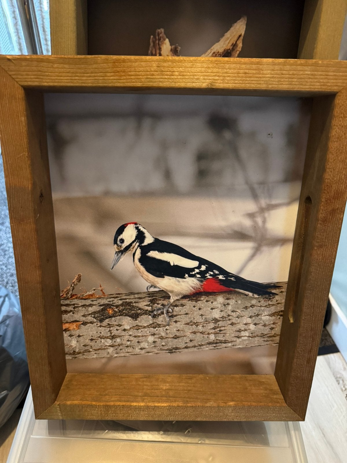 Tuin schilderij, Ophalen, Zo goed als nieuw