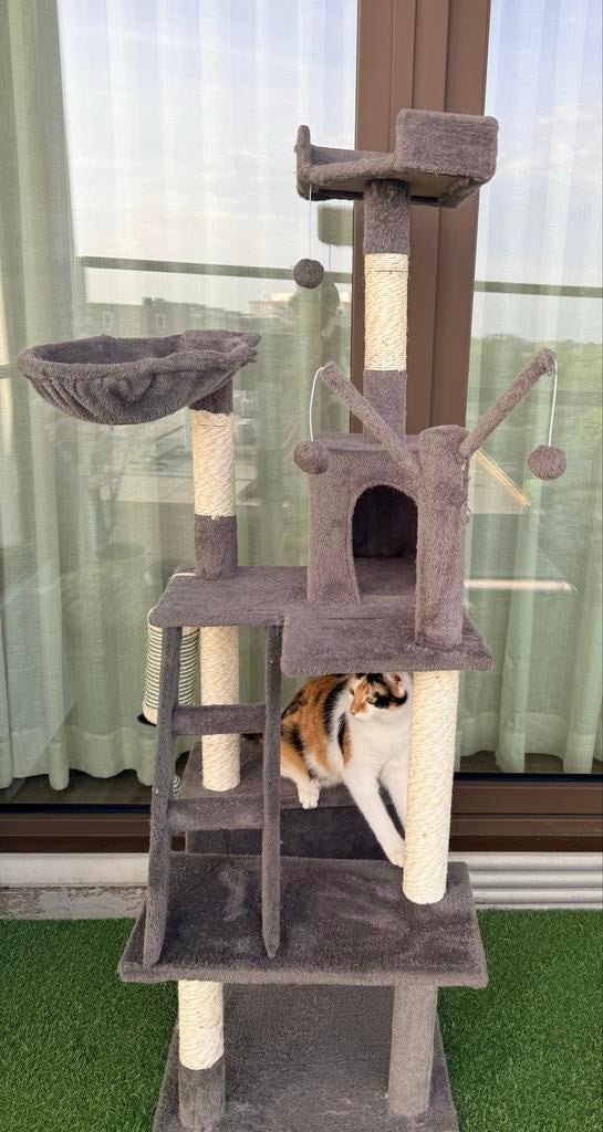 Multi-Level Cat Tree with Condo – Very Good Condition, Ophalen, Gebruikt, Krabpaal