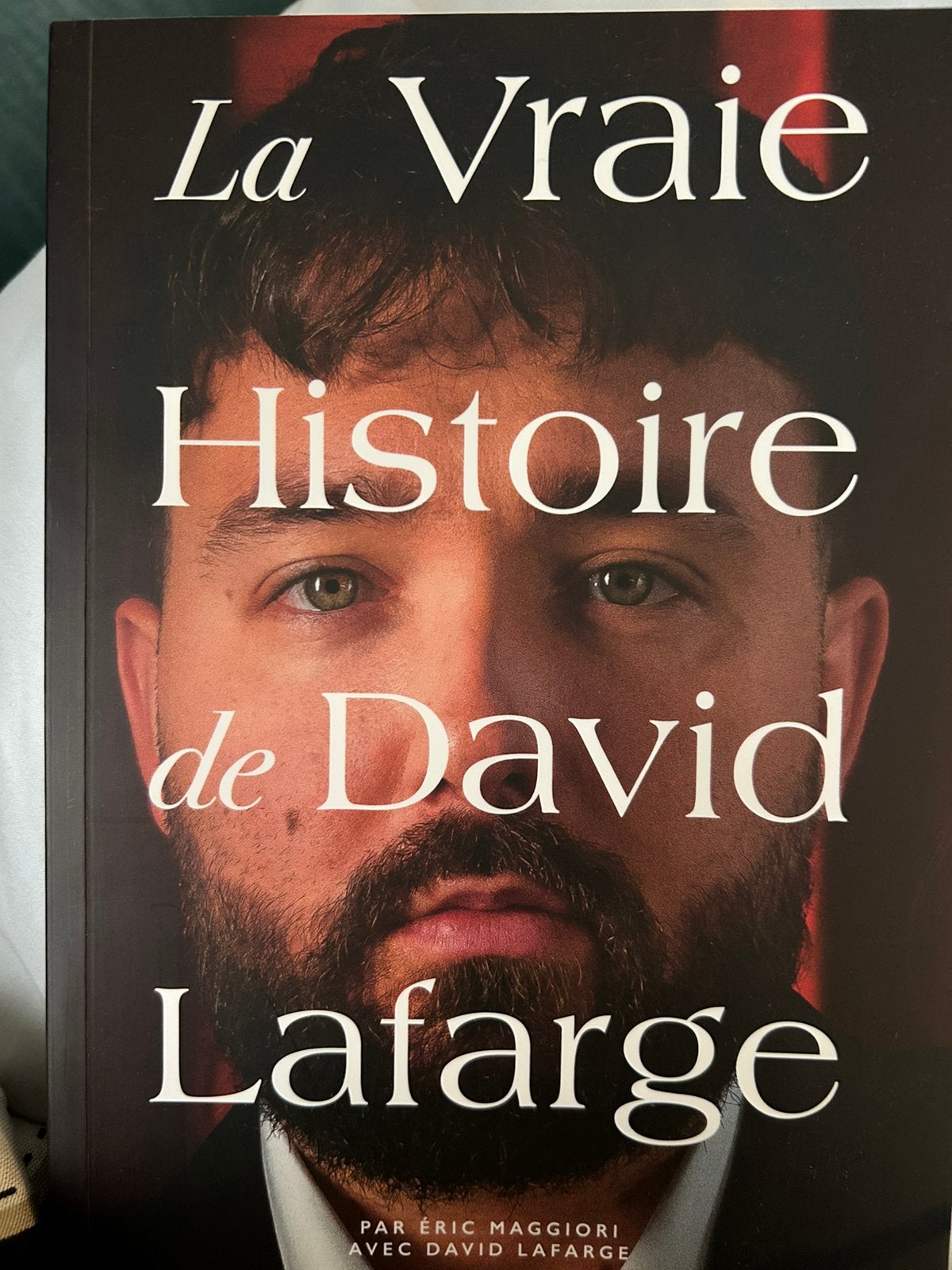 La vraie histoire de David Lafarge, Ophalen of Verzenden, Nieuw