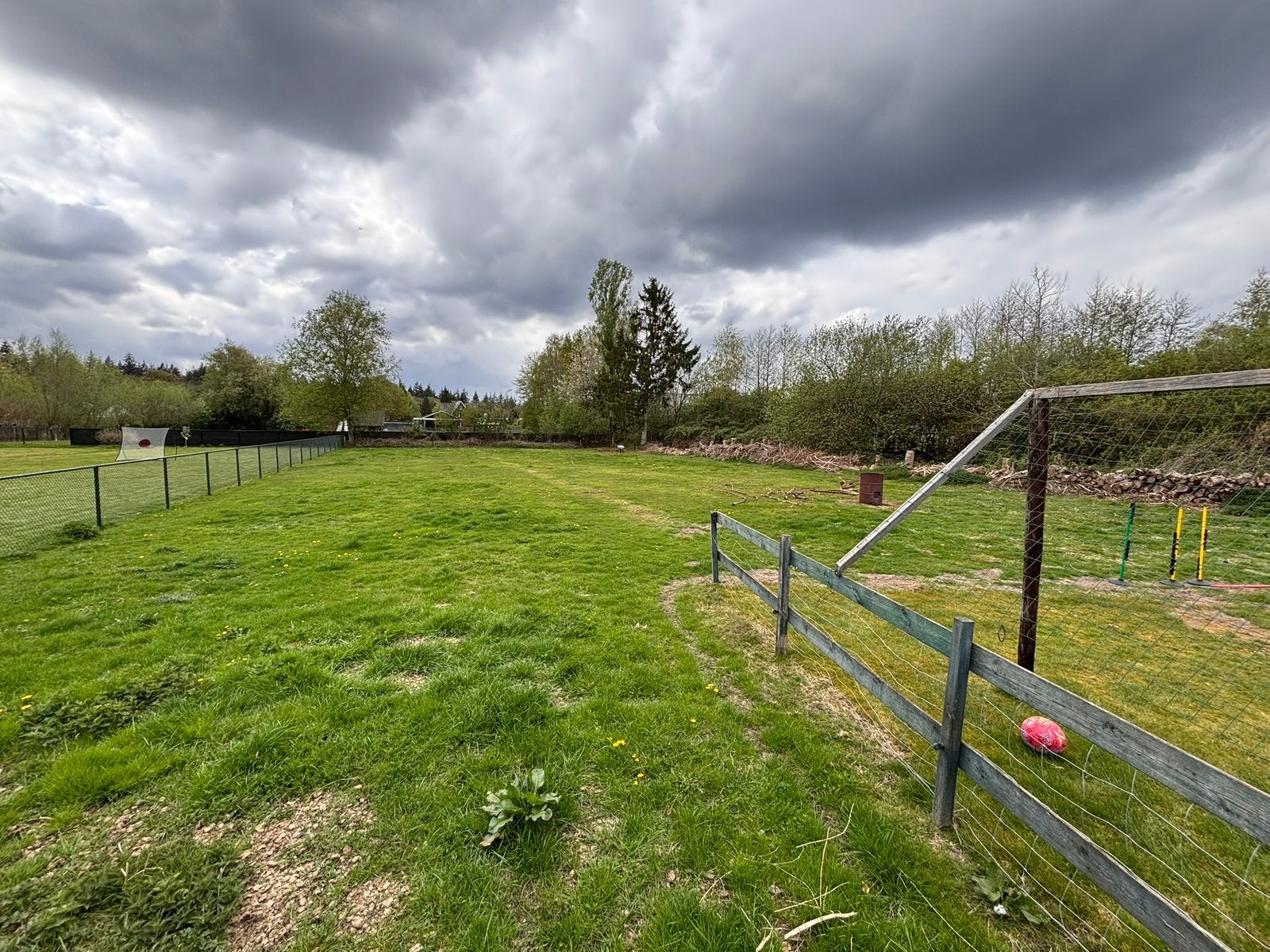 Weidemaatje gezocht in omgeving Apeldoorn, Weidegang, 1 paard of pony