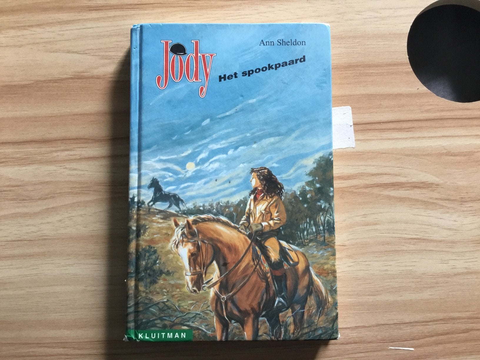 Boek jody het spookpaard, Boeken, Ophalen of Verzenden, Zo goed als nieuw, Fictie algemeen