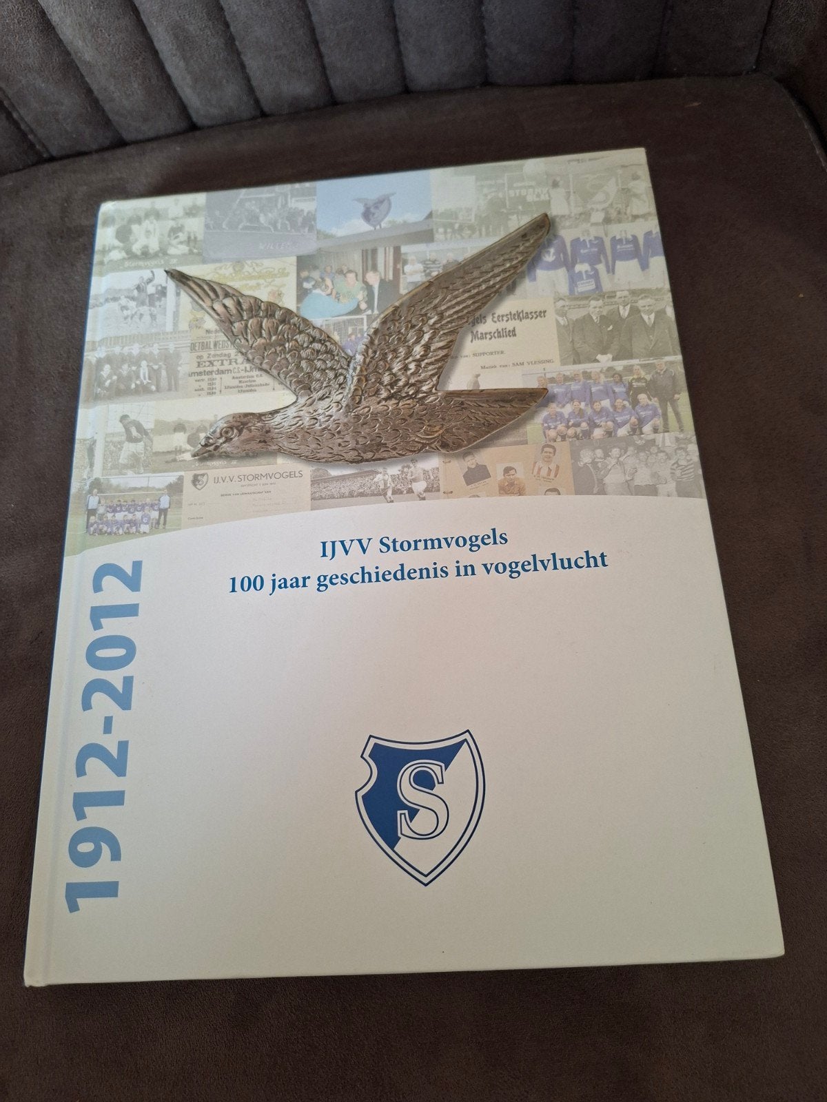 IJVV Stormvogels 100 jaar geschiedenis in vogelvlucht + DVD, Boeken, Ophalen of Verzenden, Zo goed als nieuw, Onbekend, Balsport