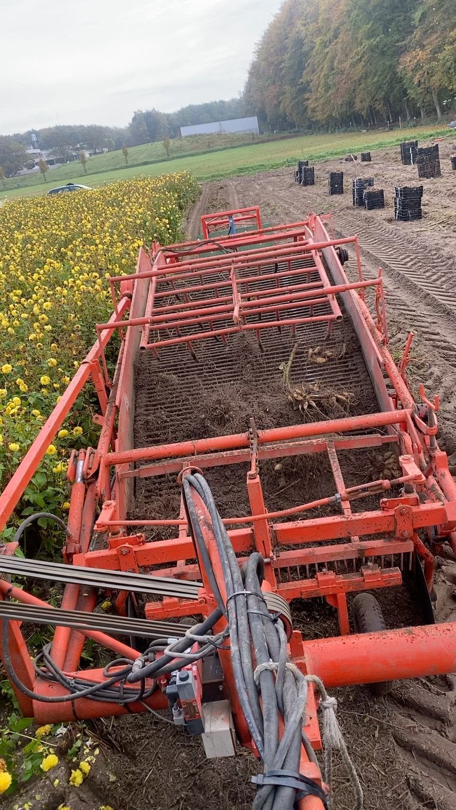 Amac d2 voorraadrooier, Ophalen, Akkerbouw, Oogstmachine