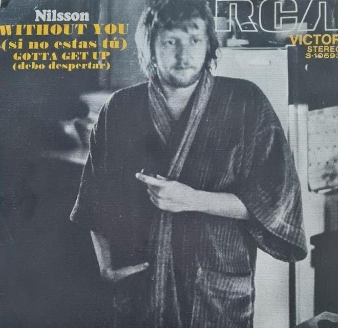 NILSSON - WITHOUT YOU, Ophalen of Verzenden, Gebruikt, Pop