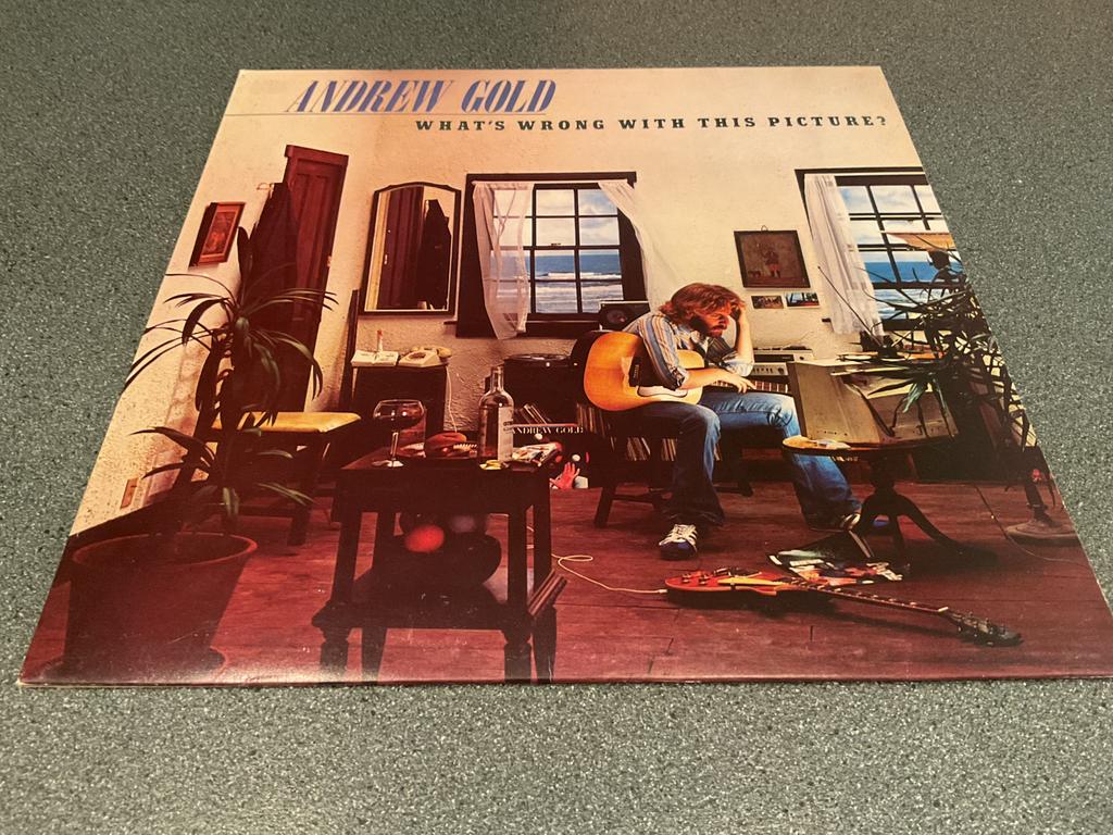 Andrew Gold - What’s wrong with this picture? Vinyl LP, Ophalen of Verzenden, Gebruikt, 12 inch