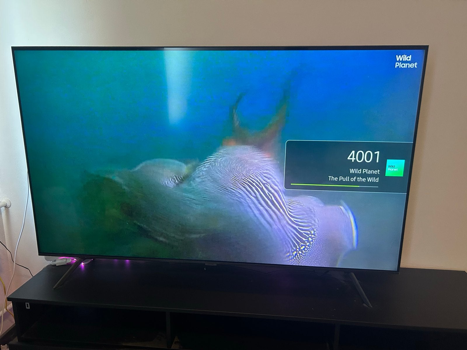 Huishoudelijke apparaten en meubels (z.g.a.n.), 200 liter of meer, Met aparte vriezer, Zo goed als nieuw, 45 tot 60 cm