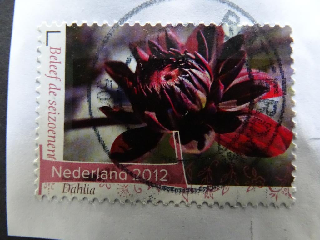 Postzegel NL / Dahlia / Beleef de Seizoenen / 2012, Ophalen of Verzenden, Na 1940, Gestempeld