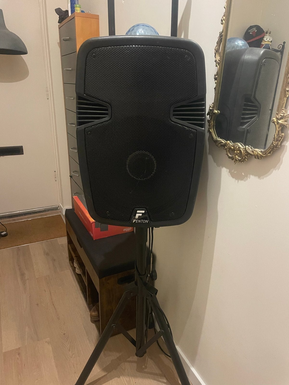 Fenton Grote Box met Disco Lichten en Wieltjes, Audio, Tv en Foto, Luidsprekers, Ophalen, Gebruikt, Overige typen, Overige merken