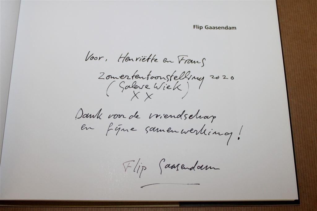 Gesgineerd !! Flip Gaasendam. Dichter in verf., Ophalen of Verzenden, Zo goed als nieuw