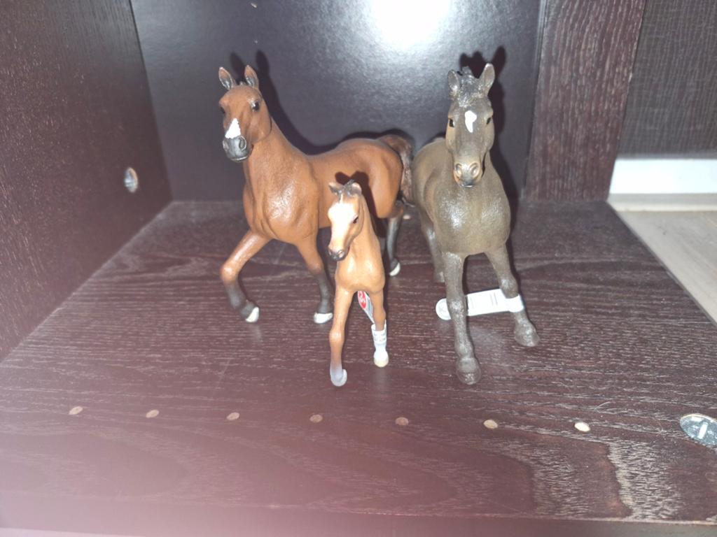 Schleich paarden zgan alles samen voor 90 euro, Verzamelen, Dierenverzamelingen, Ophalen of Verzenden, Zo goed als nieuw, Paard