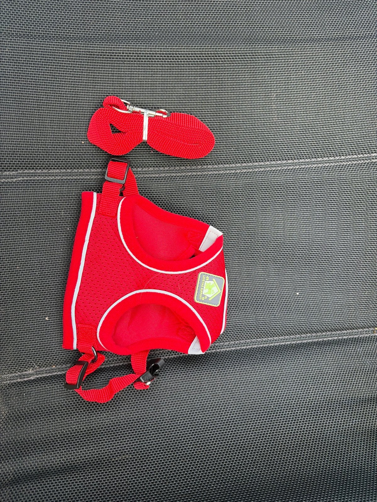 Hondenriem/tuigje kleine hond/pup mt. S, Dieren en Toebehoren, Honden-accessoires, Overige merken, Ophalen of Verzenden, Nieuw