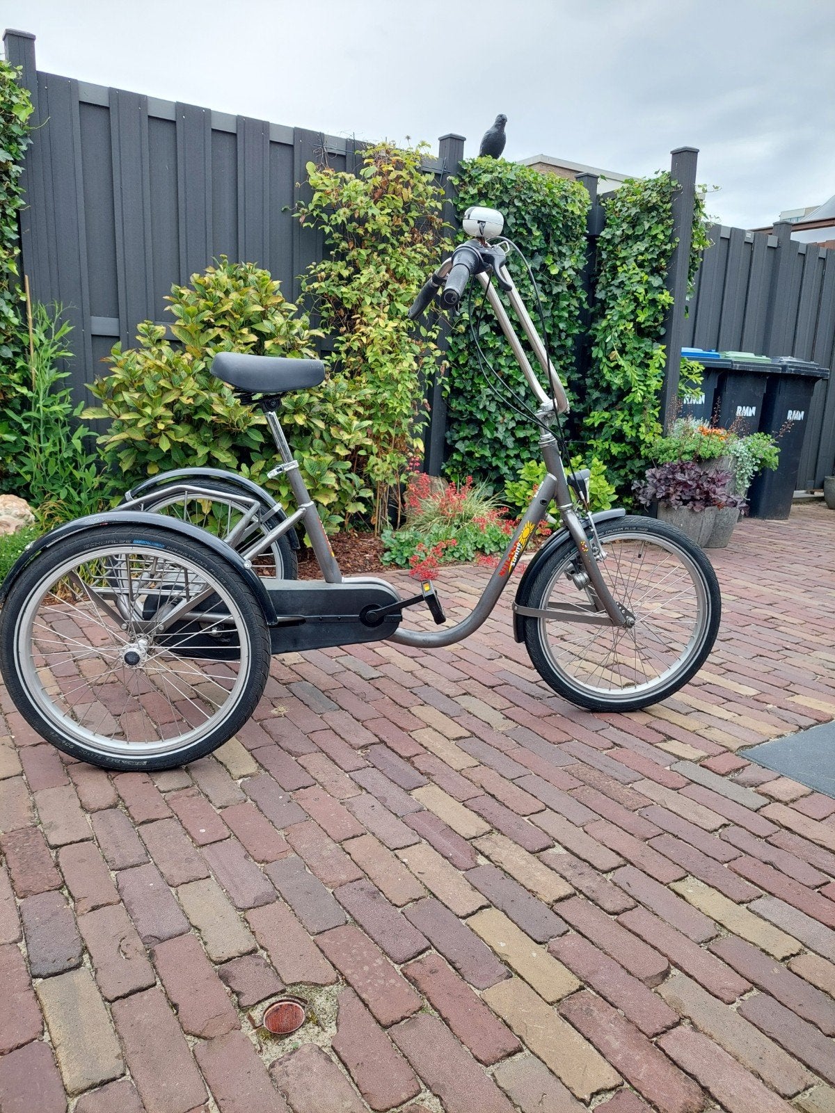 Mooie Nijland Sunny driewielfiets kleur grijs, Ophalen